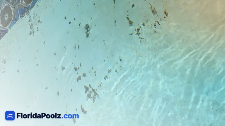 Black algae in a Florida pool