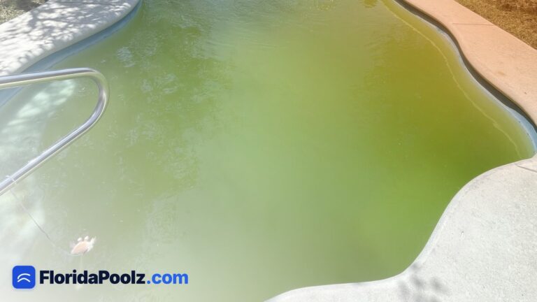 Mustard algae in a Florida pool