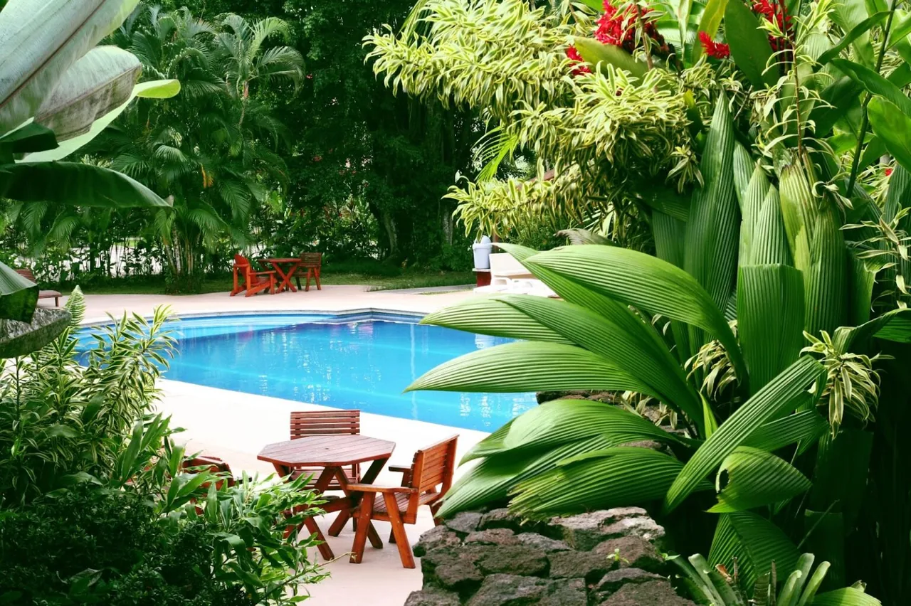 GROVES SWIMMING POOL SERVICE, INC. pool project